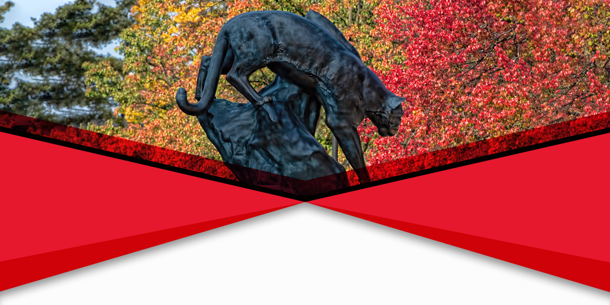 SIUE Cougar Statute in front of the Morris University Center