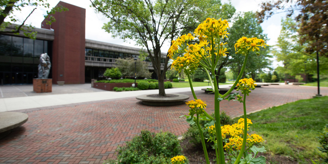 The Morris University Center on a cloudy spring afternoon.