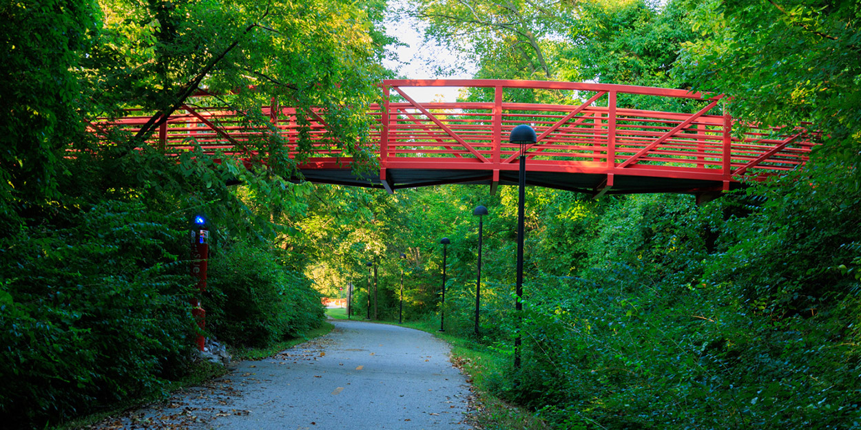 A walking Bridge at SIUE