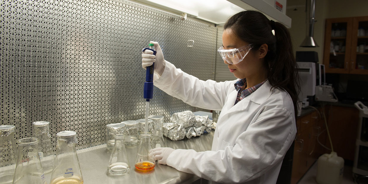 A chemistry student in a lab at SIUE.