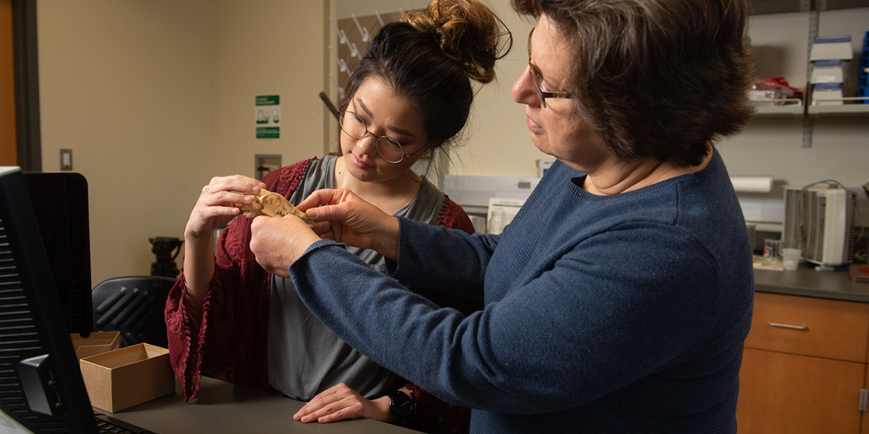 Two women treating an animal in a lab.