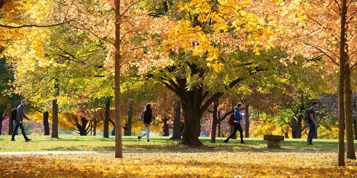 SIUE students walk on campus during the fall. 