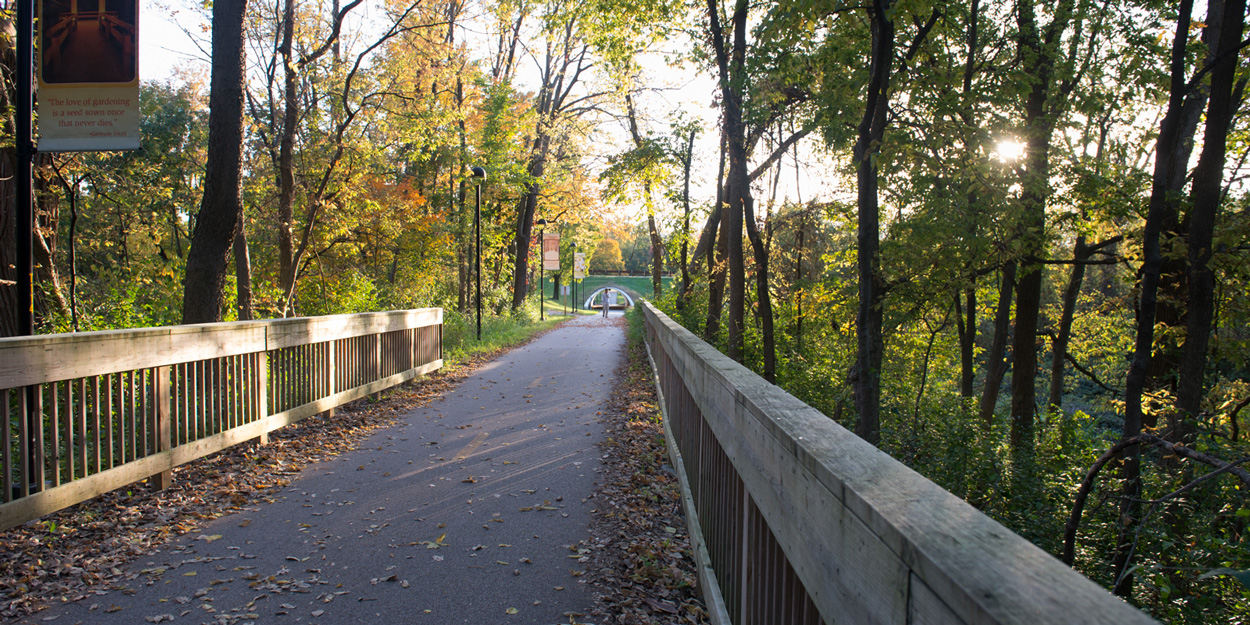 Bike path at SIUE during dusk that is north of Alumni Hall and east of Birger Hall. 