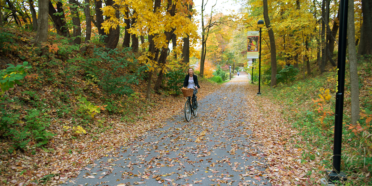 Visit the Gardens at SIUe