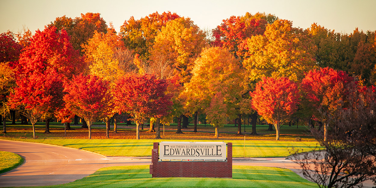 SIUE campus during a pretty fall day.