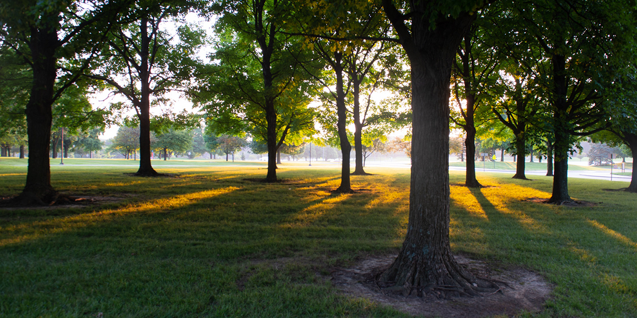 SIUE campus on a summer morning facing east.