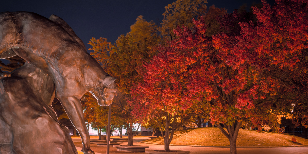 Students at SIUE.