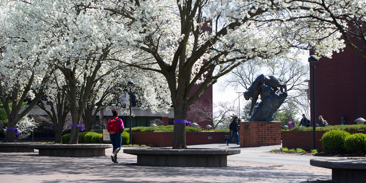 The SIUE Cougar statue on a spring day in front of the Morris University Center.