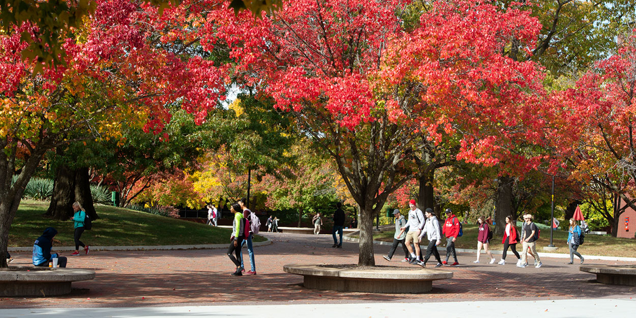 Trees on the campus of SIUE.