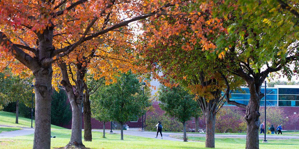 Faculty Senate