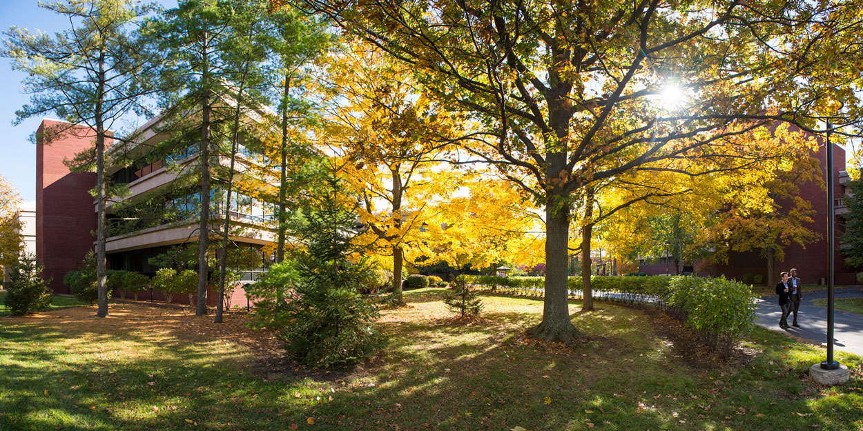 The "e" in front of Rendleman Hall