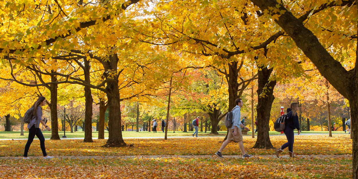 Students at SIUE walking on the campus during a fall day with yellow leaves falling.