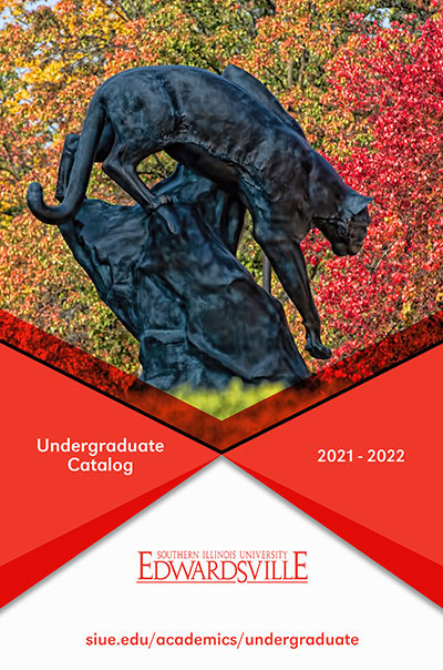 Undergraduate Catalog 2020-2021