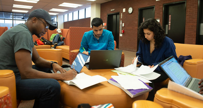 Library Students