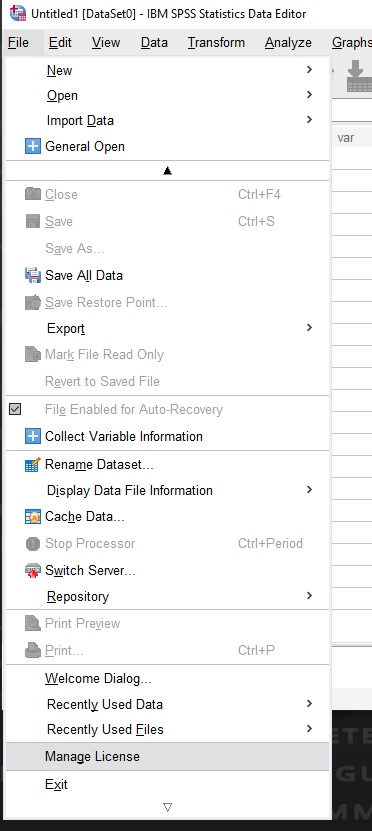 SPSS - Manage License Menu Option