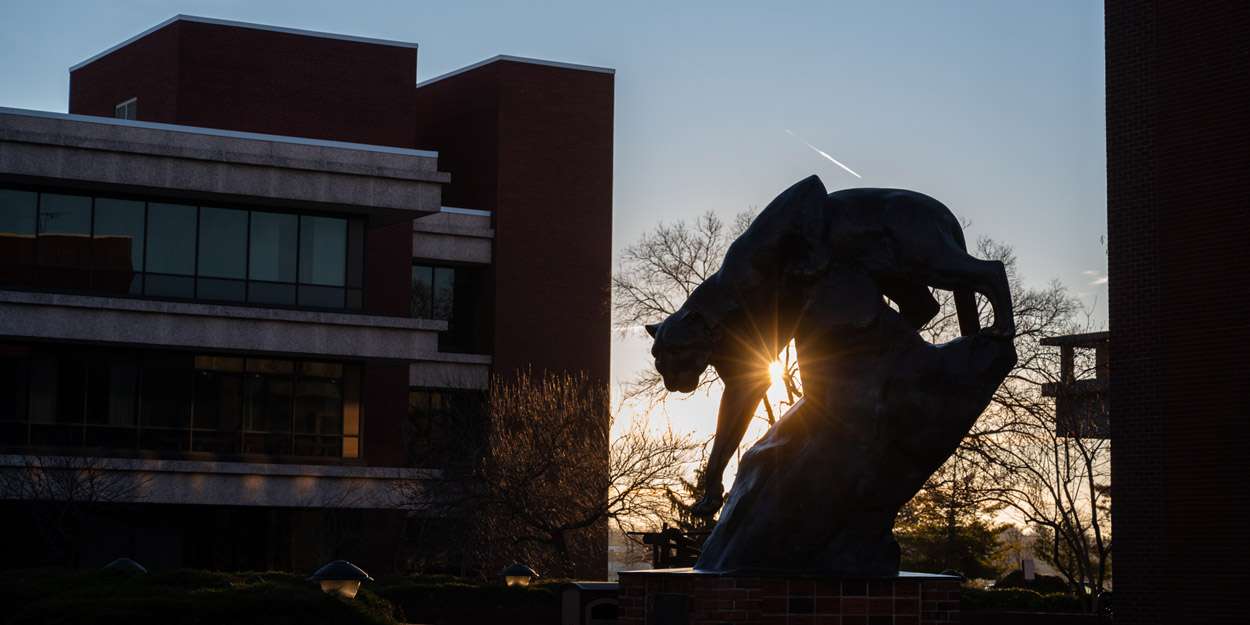 Report a Campus Climate Concern