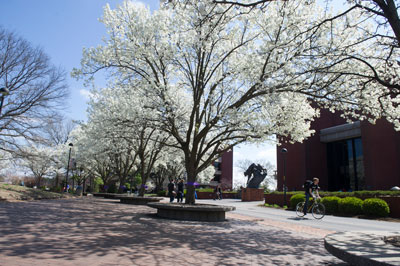 Edwardsville Campus